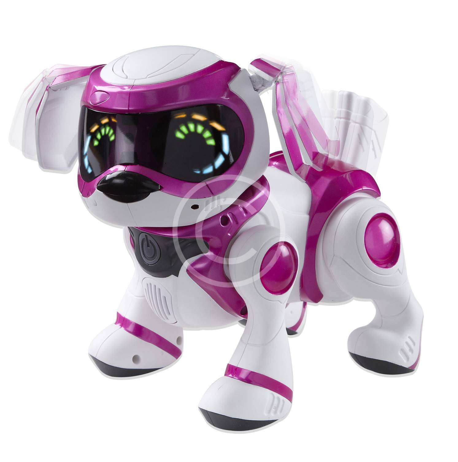 Teksta Puppy 1