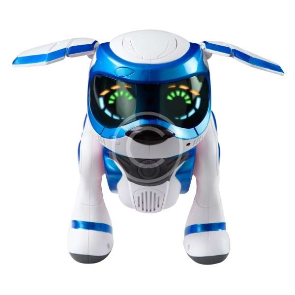 Teksta Puppy 4